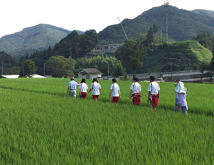 Mise au vert dans la campagne japonaise