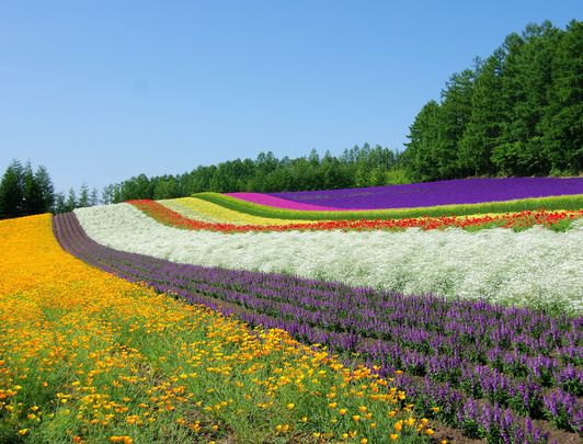 Tomita, Hokkaido