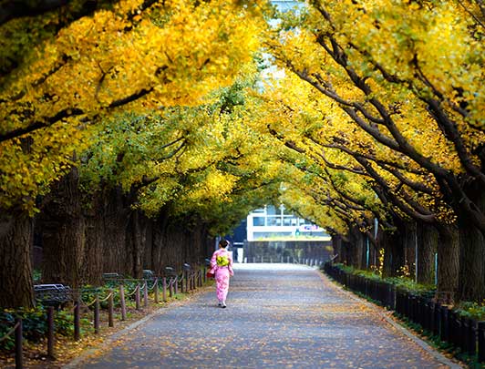 Meiji Jingu Gaien