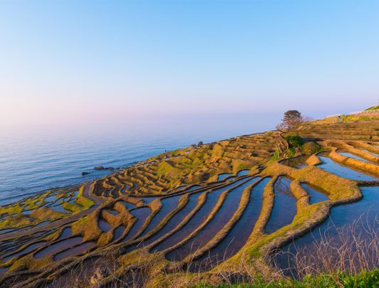 La Péninsule de Noto : Nature préservée et savoir-faire authentique