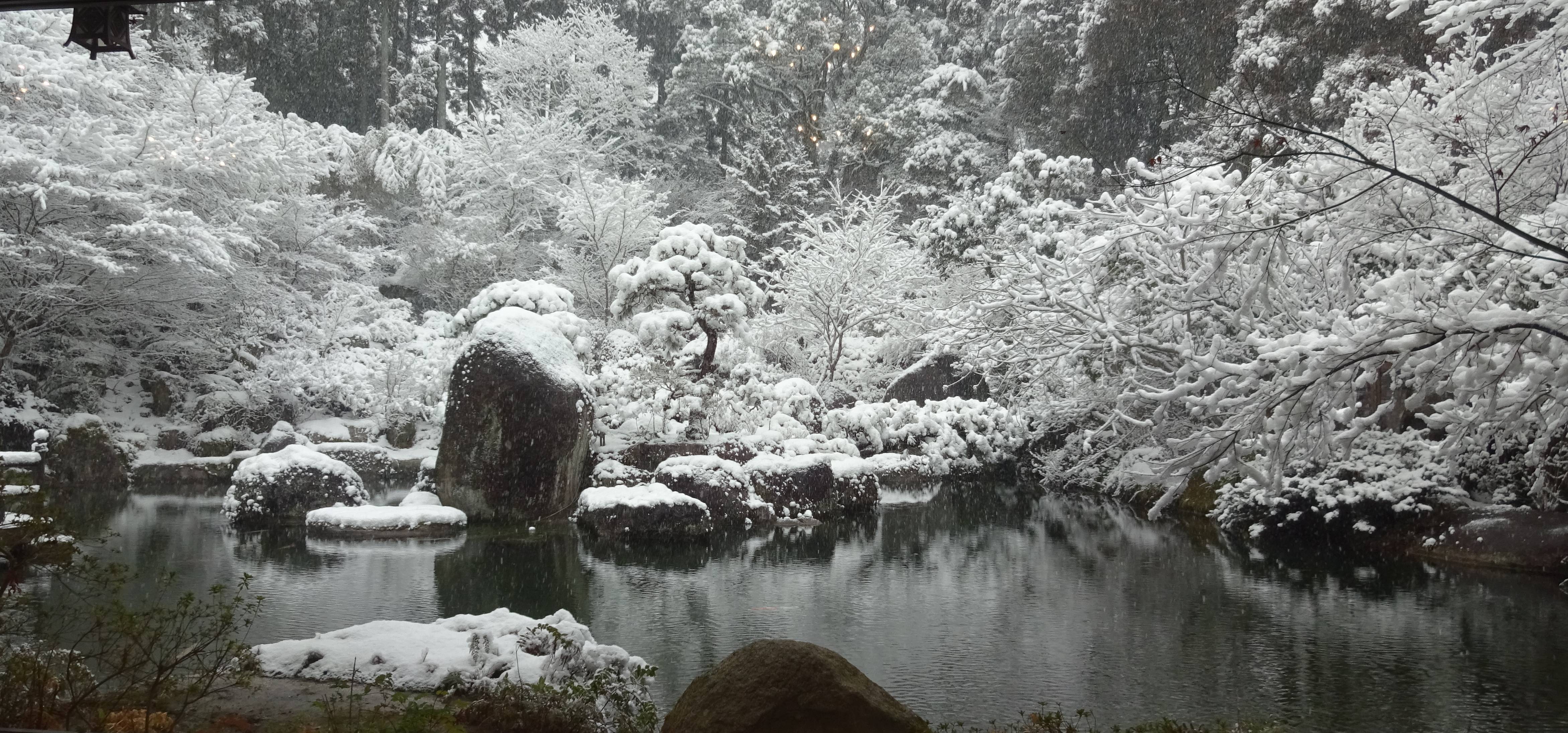 DSC03109 crop