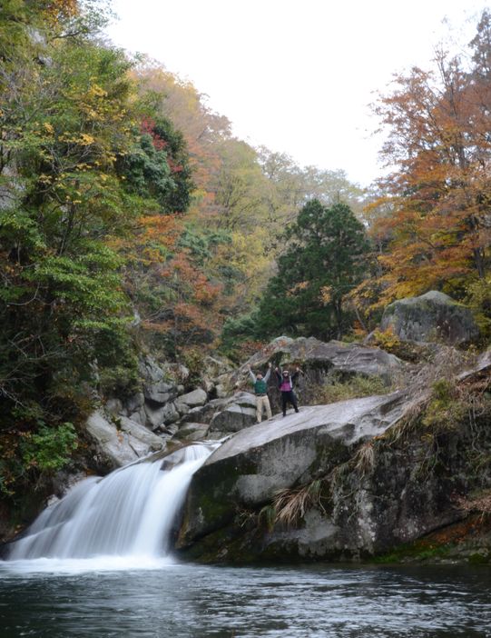 automne sanin japon