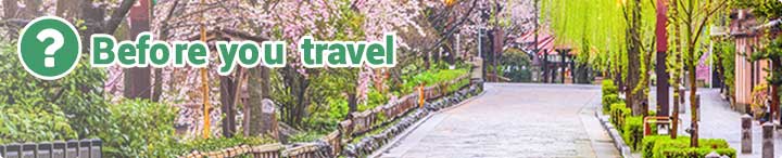Before you travel
