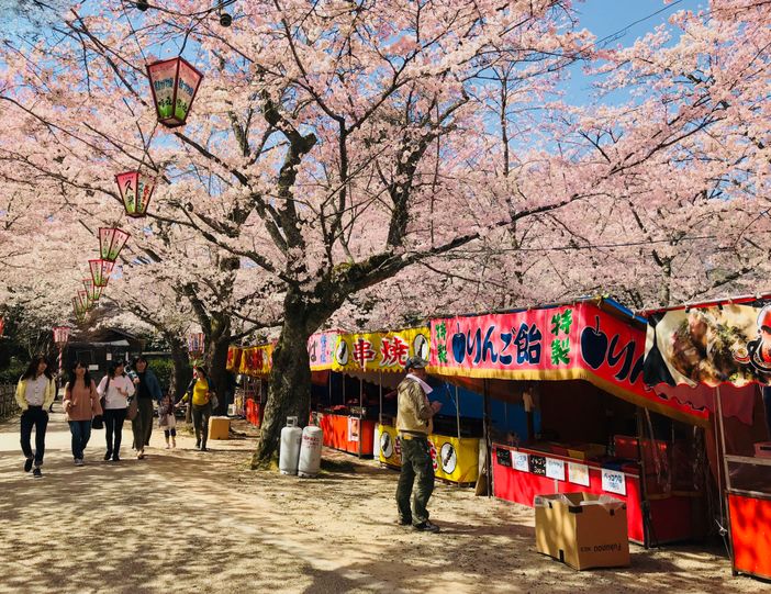 printemps kurayoshi japon sakura