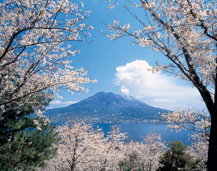 The JR Kyushu Rail Passes transported us quickly from one destination to another!