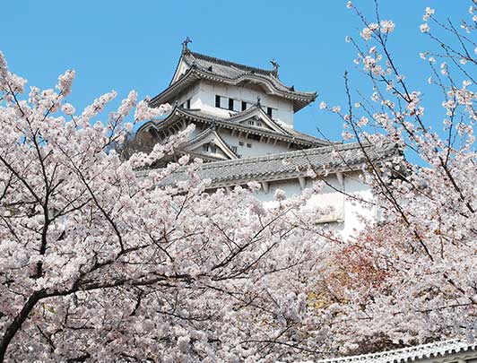 Château de Himeji, Hyogo