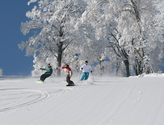 Nozawa Ski Resort