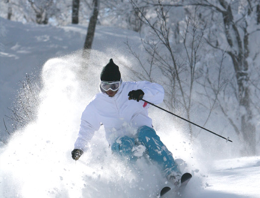 Nozawa Ski Resort