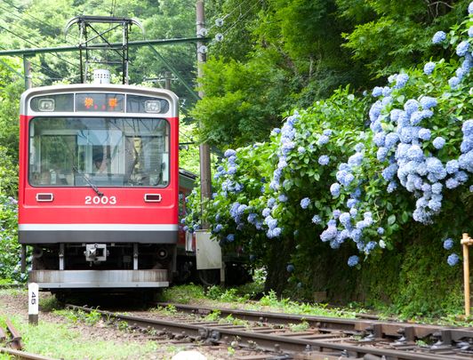 Train de la ligne Hakone Tozan