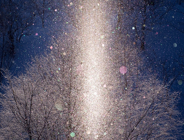 Photo of the Month, February 2019: Snows capes