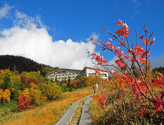 Alpine route en automne, Toyama