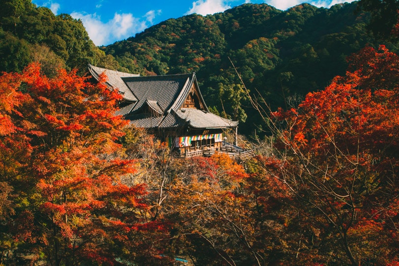 Découverte du Kansai avec le Kintetsu Rail Pass