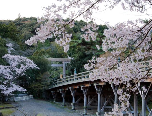 Sanctuaire d'Ise Jingu