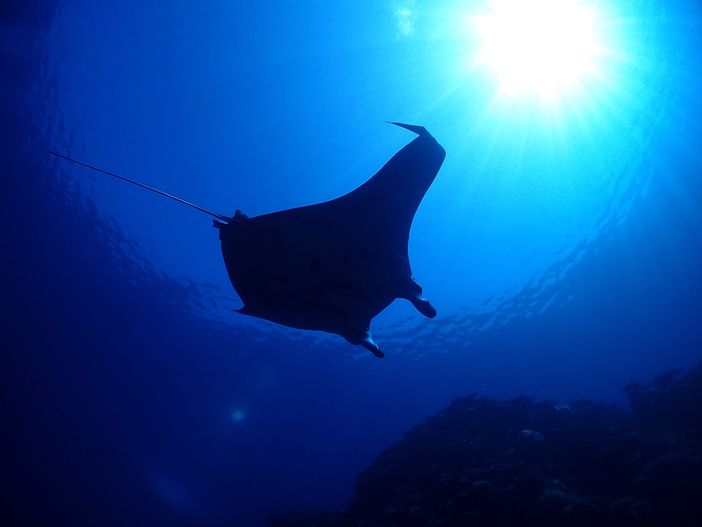 Ishigaki, île paradisiaque au milieu de nulle part