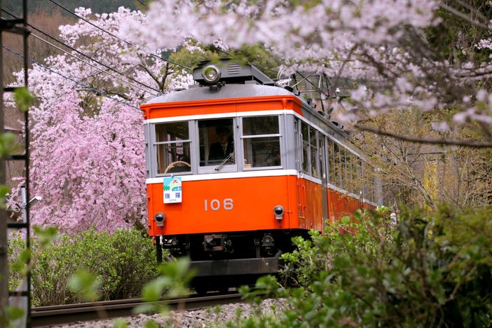 Hakone : Promenade dans le temps au pied du Mont Fuji