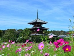 Horyuji, Nara