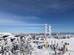 Ski à Shiga Kogen, Nagano