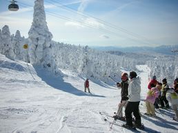 Ski à Zao Onsen, Yamagata