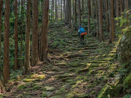 Chemins du Kumano Kodo