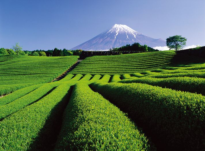 Shizuoka, le mont Fuji hors des sentiers battus