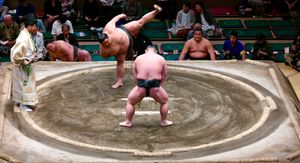 Match de sumo