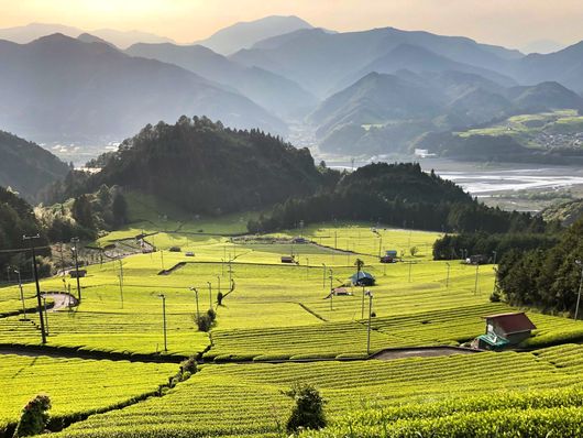 Shizuoka : « Slow vacation » au pied du Mont Fuji