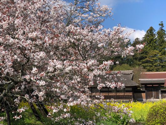 Village de Satoyama