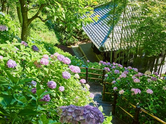 Hasedera, Kamakura