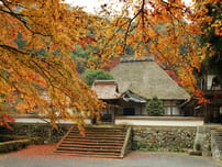 Places