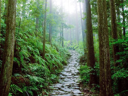 Ise et Kumano Kodo : Japon sacré et spirituel